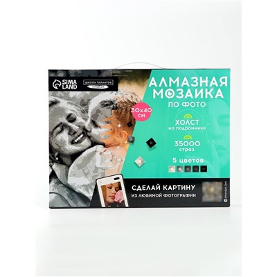 Алмазная мозаика по фото, на раме 30×40, полное заполнение, Gray