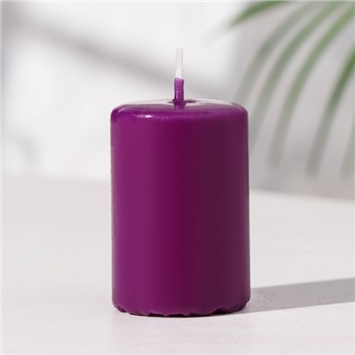 Набор свечей - цилиндров «Интерьерный», 4 шт., 6×4 см, 10 ч, фиолетовый