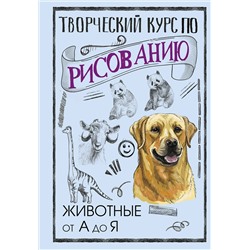 АСТ Мистер Грей "Творческий курс по рисованию. Животные от А до Я"