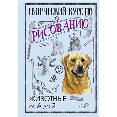 АСТ Мистер Грей "Творческий курс по рисованию. Животные от А до Я"