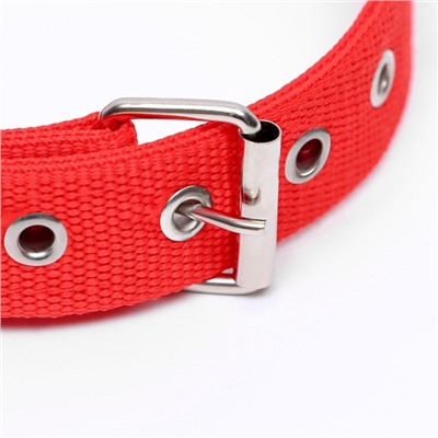 Ошейник двухслойный с вертлюгом, 58×3 см, полиэстер, красный