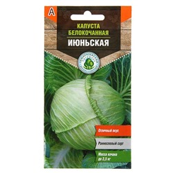 Семена Капуста белокочанная «Июньская», ранняя, 0.5 г, «Тимирязевский питомник»