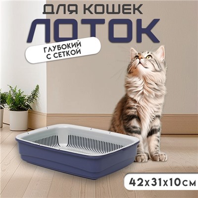 Лоток большой с сеткой Atlantis «Стандарт», 42×31×10 см, фиолетовый