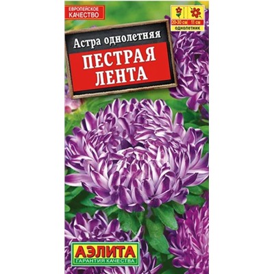 Астра Пестрая Лента Аэлита