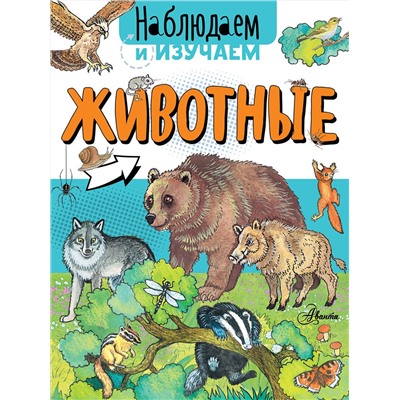 АСТ Алиса Ткачева "Животные"