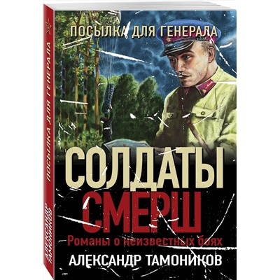 Эксмо Александр Тамоников "Посылка для генерала"