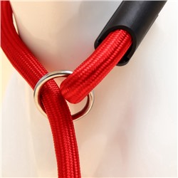 Ринговка для собак, 130×1 см, красная