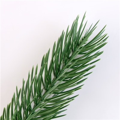 Ветка еловая зелёная, 22×4 см, набор 50 шт.