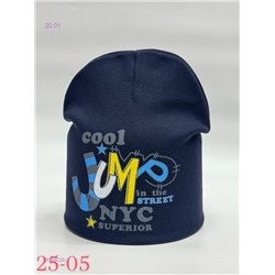 шапка 2054020-1