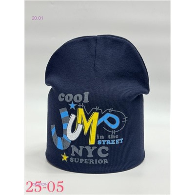 шапка 2054020-1