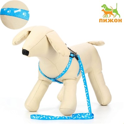 Шлейка с поводком «Классика», ОГ 21-35 см, поводок 120×1 см, капрон, голубая