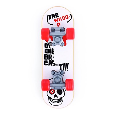 Игрушка для птиц «Скейт», МИКС