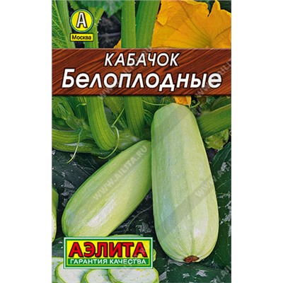 Кабачок Белоплодные  (лидер) (Код: 93490)
