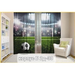 Портьеры с принтом, 3*2,6 см (без тюля)