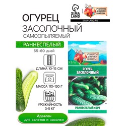 Семена Огурец "Засолочный", 0,5 г