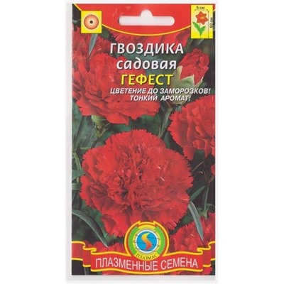 Гвоздика Садовая Гефест (Код: 75832)