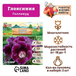 Глоксиния "Голливуд", р-р 5/6, 2 шт Весна 2025