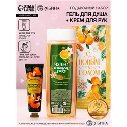 Подарочный набор новогодний «С Новым Годом», гель для душа 250 мл и крем для рук 30 мл, Чистое счастье