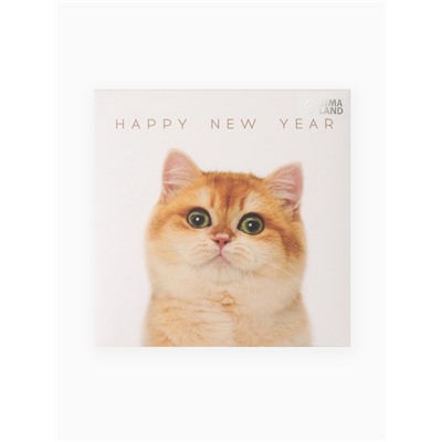 Набор новогодний подарочный KAFTAN «Киса», маска, носки размер 36-39 (23-25 см), открытка 2 шт.