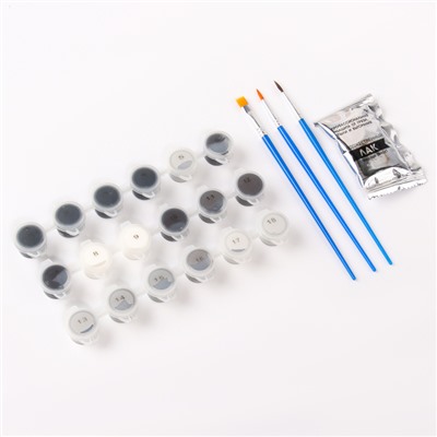 Картина по номерам «Взлёт», на холсте с подрамником, 40×50 см