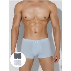 ТРУСЫ МУЖСКИЕ (2ШТ) 411229-2