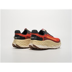 Кроссовки New Balance Fresh Foam X More Trail v3