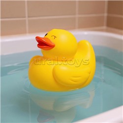 Набор "Веселые уточки" в пакете