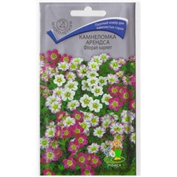 Камнеломка Арендса Флорал Карпет (Код: 65755)