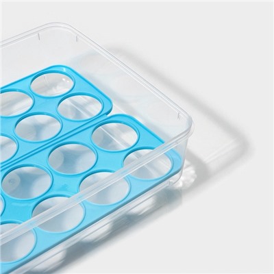 Контейнер для хранения яиц Доляна, 20 ячеек, 27.5×22×7 см, пластик, прозрачный, голубой