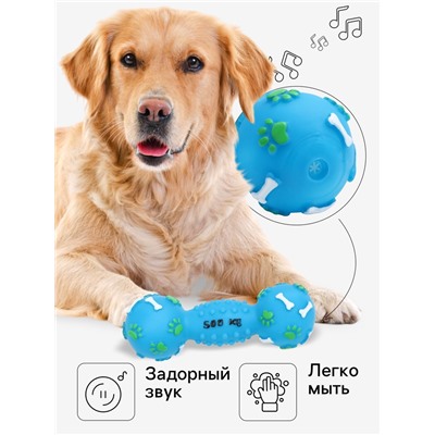 Игрушка для собак «Гантель 500 kg», 17.5 см, пищащая, винил, голубая