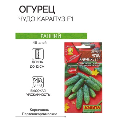Семена Огурец "Чудо карапуз F1", 10 шт.