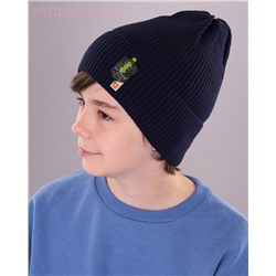 02-54-E Колпак для мальчика флис (52-54)