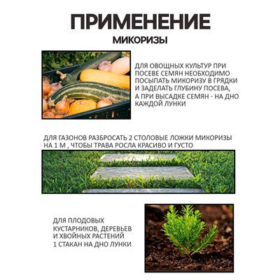 Микориза на вермикулите "Рецепты Дедушки Никиты", 1 л