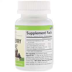 Eclectic Institute, Поддержка иммунной системы, бузина, 475 мг, 90 капсул