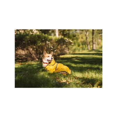 Комбинезон для собак, демисезонный с козырьком, размер 3XL (ДС 50, Ог 67, ОШ 51 см), жёлтый