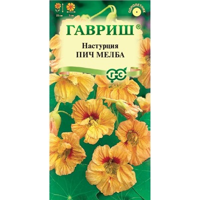 Настурция Пич Мелба Гавриш