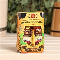 Набор «Лечебная сила»: 2 ароматизатора 100 мл