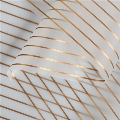 Пленка матовая для цветов «Полосы», золотистая, 60 см × 5 м