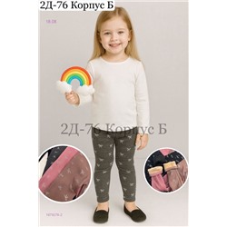 лосины 1979276-2