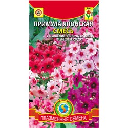 Примула Японская смесь (Код: 76075)