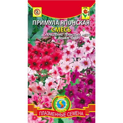 Примула Японская смесь (Код: 76075)