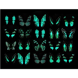Штекер светящийся «Бабочка Вайси», 6.5×25 см, набор 12 шт., МИКС, Greengo