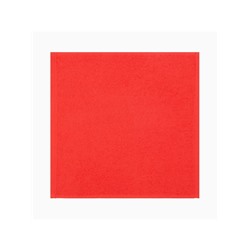 Набор новогодних махровых полотенец «Этель. Новогодний дуэт», 30×30 см - 3 штуки, хлопок 100%