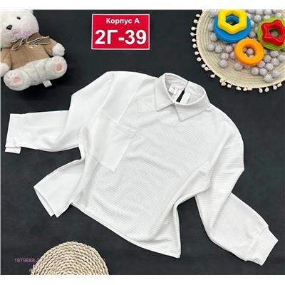 кофта 1979888-2