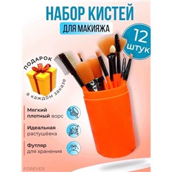 Кисти для макияжа в тубусе