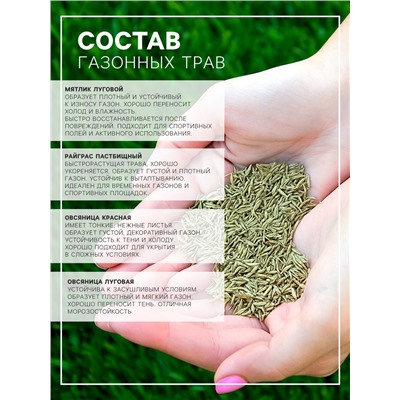 Газонная травосмесь Абсолют Спорт, 10 кг