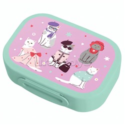 Ланч-бокс с декором 180x130x50мм, 0,98л (Микс 2)