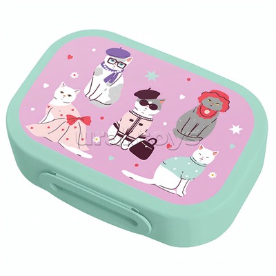 Ланч-бокс с декором 180x130x50мм, 0,98л (Микс 2)