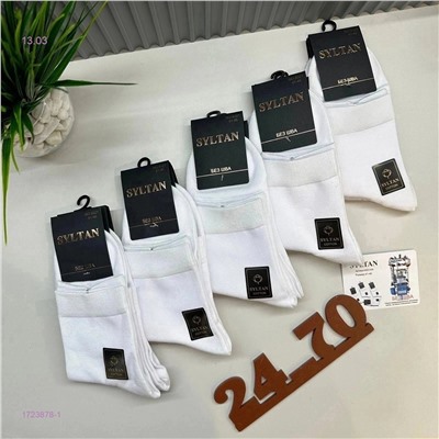 Носки мужские 10 пар 1723878-1