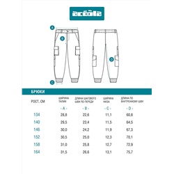 Acoola Брюки 20210160449